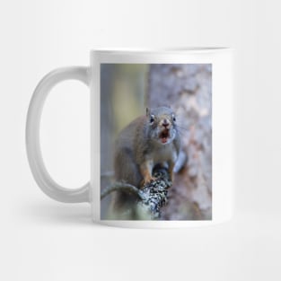 Chatter Box - Red Squirrel - Algonquin Park, Canada Mug